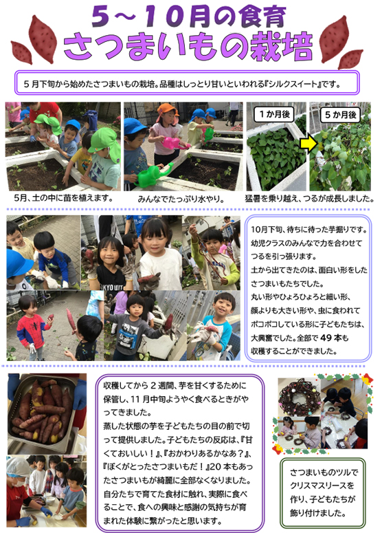 20245-10olive-syokuiku.jpg