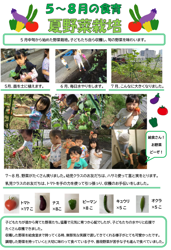 20245-8olive-syokuiku.jpg