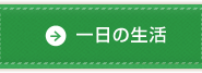 一日の生活