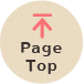 PAGE TOP