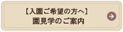 園見学のご案内