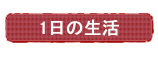 一日の生活