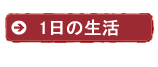 一日の生活